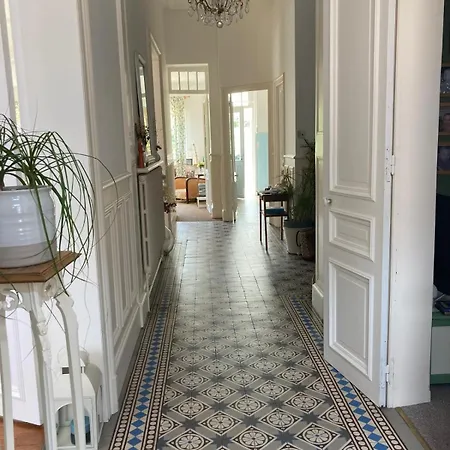 Maison Dentelle *